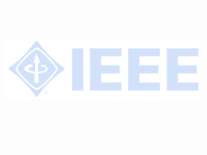 IEEE branch organization guidelines