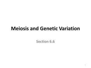Section 6.6: Meiosis and Genetic Variation