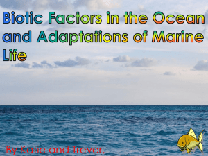 Biotic Factors in the Ocean and Adaptations of