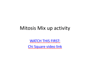 Mitosis Mix up activity