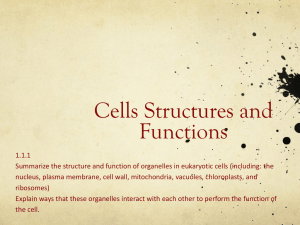 Cells and Structures ppt