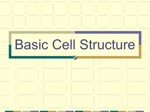 Basic Cell Structure - White Plains Public Schools
