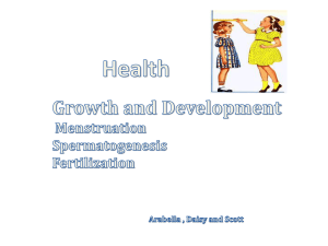Daisy Arabella Scott Health Presentation