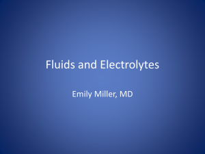 Fluid - Stony Brook University School of Medicine