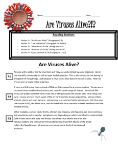 "Are Viruses Alive?" Reading & Group Work