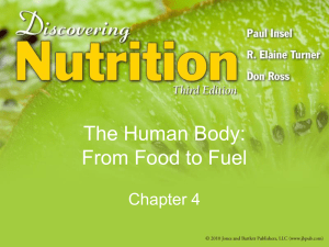Chapter 4: The Human Body: From Food to Fuel