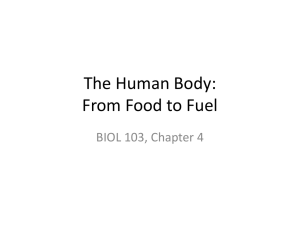 BIOL 103 Ch 4 The Human Body F15 for Student