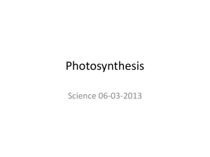 Photosynthesis - WISMYPScience