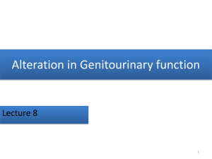 lecture_8_alteration_genitourinary_function