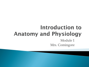 Introduction to Anatomy and Physiology
