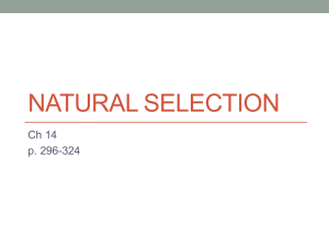 Theories of Natural Selection