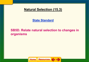 Natural Selection Notes (15.3)