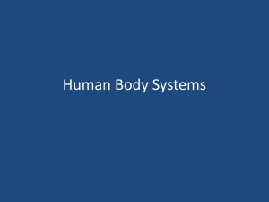 Human Body Systems 35-1