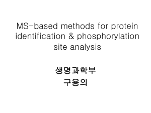 Mass Spectrometer