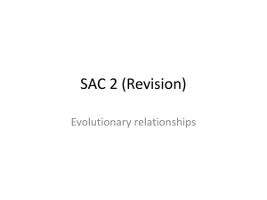 SAC Revision - WordPress.com