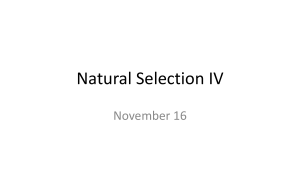 Natural Selection III