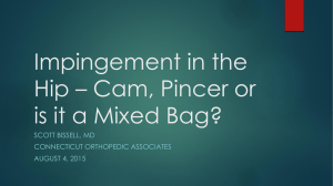 Impingement in the Hip * Cam, Pincer or is it a Mixed Bag?