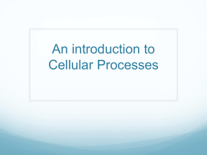An introduction to Cellular Processes