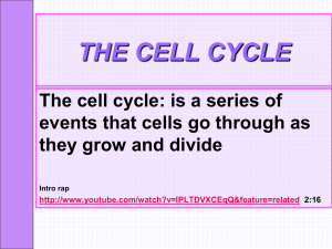 Mitosis - RIScienceTeachers