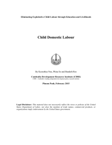 Child Domestic Labour (English, pdf 205kb)