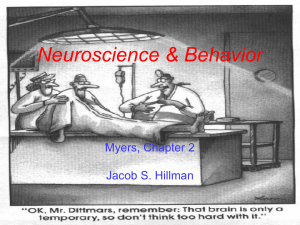 Neuroscience & Behavior