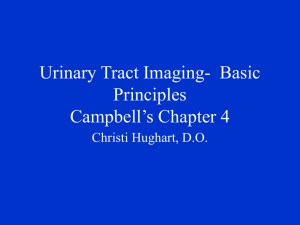 Urinary Tract Imaging