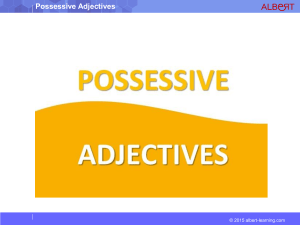 possessive adjectives