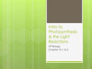Intro to Photosynthesis & Light Reactions Notes
