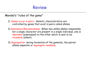 Chapter 3 - Independent assortment of genes