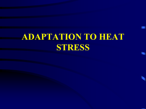 Heat Adaptations, Fitness, and Training