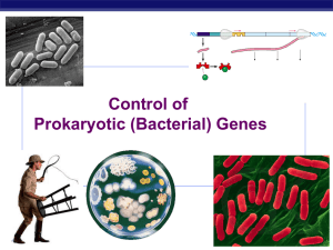 File - Ms. Oldendorf's AP Biology