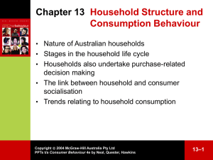 Household structure and consumption behaviour