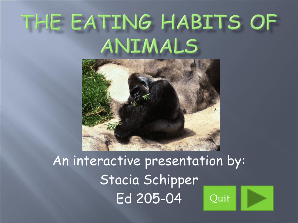 The Eating Habits of Animals - Junction Hill C