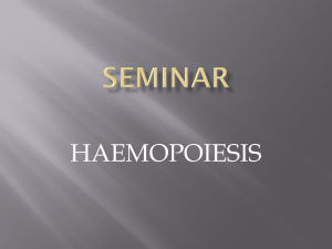 Normal Haemopoiesis