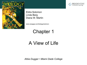 Chapter-1-Powerpoint-no