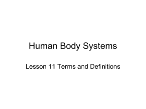 HBS Lesson 11 - terms and def