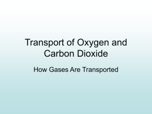 Transport of Oxygen and Carbon Dioxide