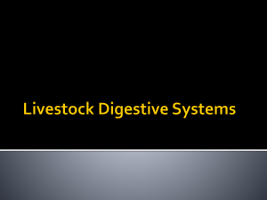 Livestock Digestive Systems