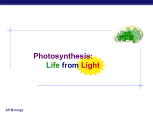 AP Biology Photosynthesis