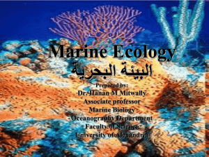 Introduction To Marine Biology