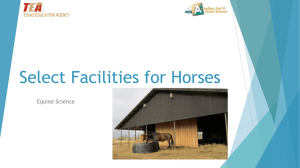 Lesson 03A Facilities for Horses PPT