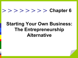 Starting Your Own Business: The Entrepreneurship Alternative.