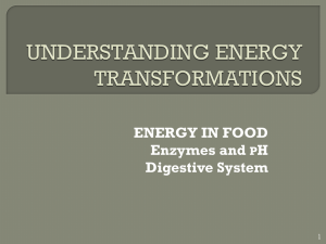 Energy In Food Notes