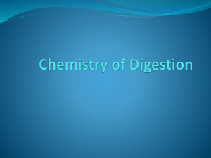 ChemistryofDigestion