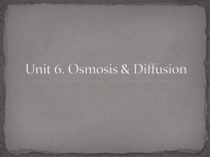 Slides on Osmosis and Diffusion