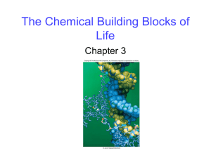 The Chemical Building Blocks of Life