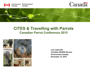 CITES Presentation - Parrot Resource Centre