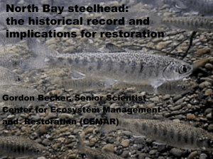 Steelhead in streams of the San Francisco Estuary