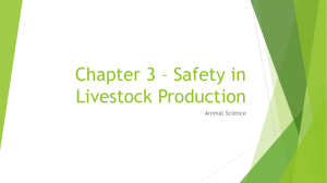 Chapter 3 * Safety in Livestock Production