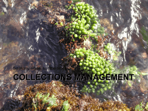 Collections Management: Field Photography